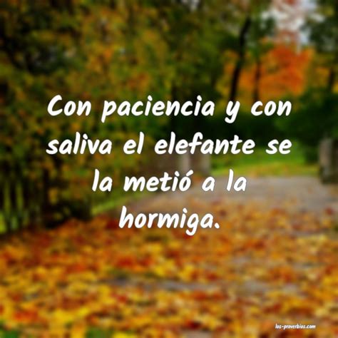 con paciencia y saliva el elefante|spanish quotes and sayings.